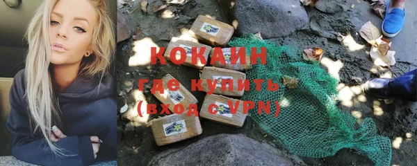 гидра Киренск