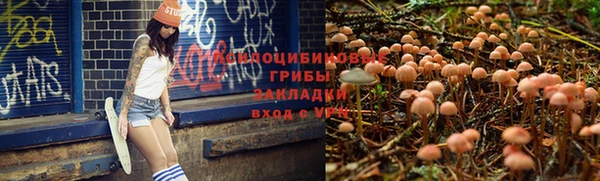 круглые Касимов