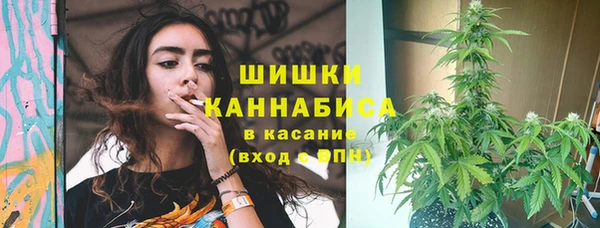мет Кинешма
