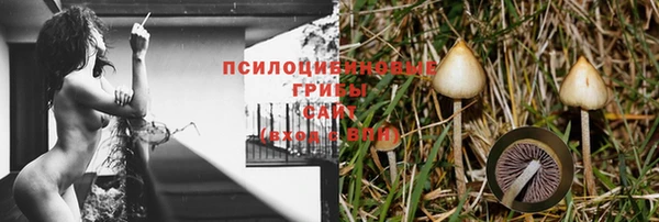 молекула духа Карталы