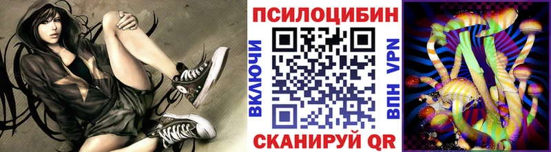 Купить закладки  Артёмовск  Псилоцибиновые грибы GOLDEN TEACHER 
